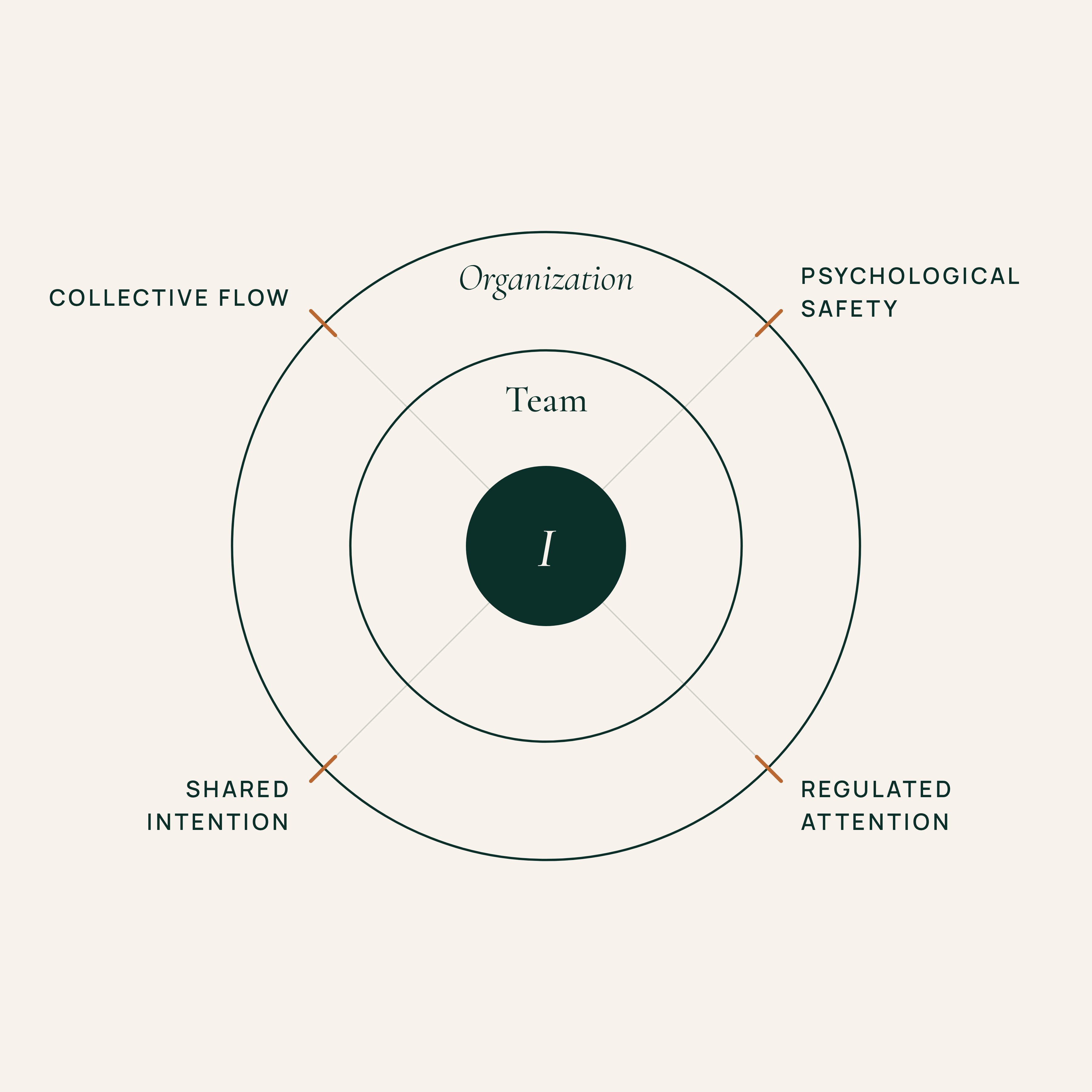 Concentric circles: from I to Team to Organization, across the four dimensions of coherence